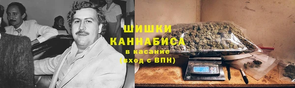 амф Няндома