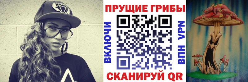 Галлюциногенные грибы Psilocybine cubensis  Ряжск 